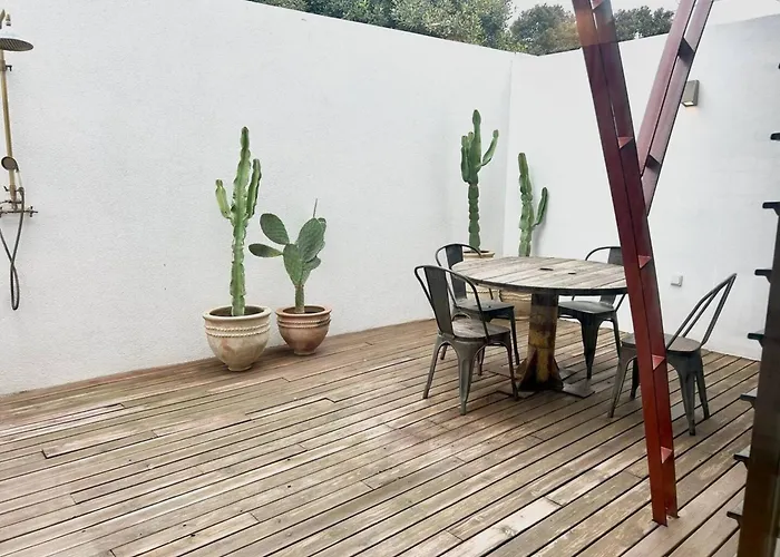 Mestizo - Nogalera * Torremolinos