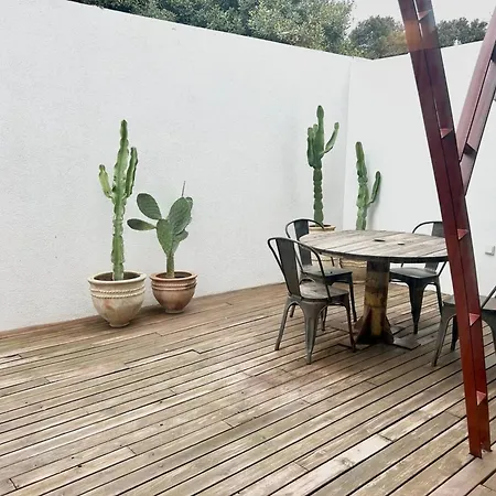 Mestizo - Nogalera * Torremolinos